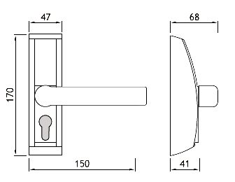 55 M dimensions.jpg